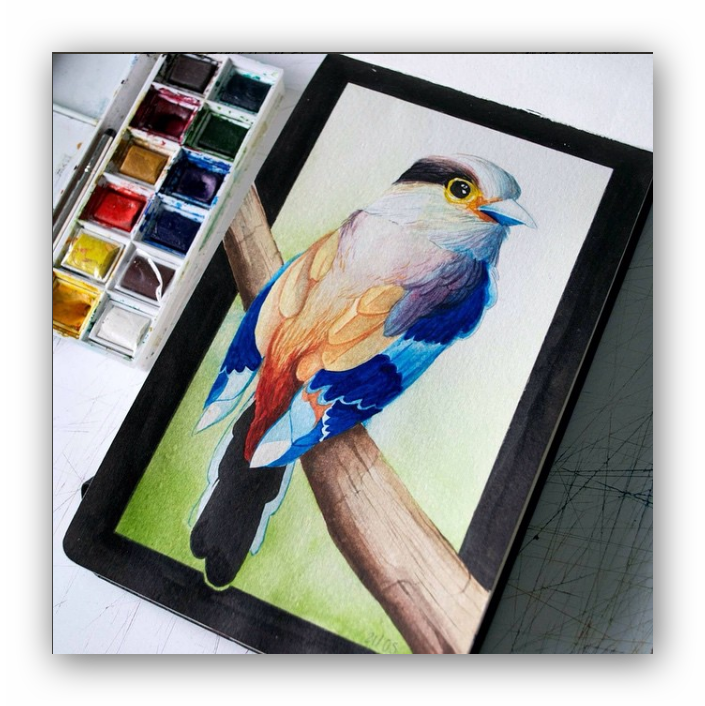 Pájaro En Watercolor - Painting (705x706), Png Download