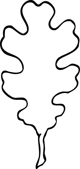 Oak Leaf Silhouette - Oak Leaf Clip Art Black And White (282x589), Png Download