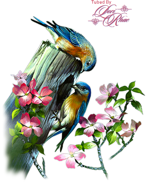 We Remind You That These Tubes Were Made For Educational - Cushion Cover Throw Pillow Case 18 Inch Retro Vintage (506x654), Png Download