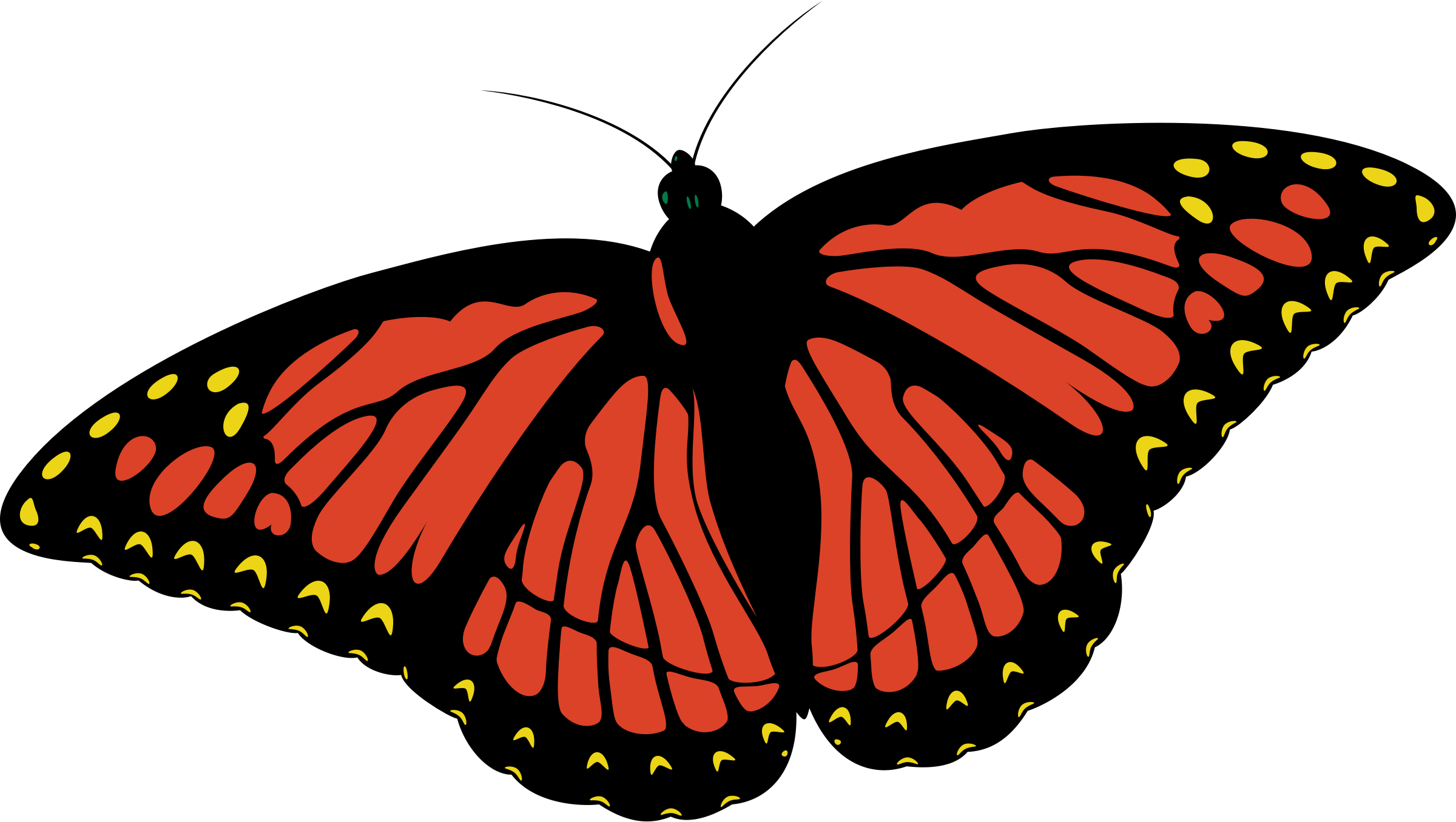 Monarch Butterfly Clipart Real - Blue Butterfly Design Shower Curtain (2400x1356), Png Download