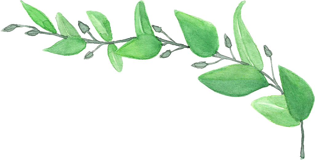 Hand Painted A Leafy Png Transparent - Grün Verlässt Hochzeits-einladung Karte (1024x520), Png Download