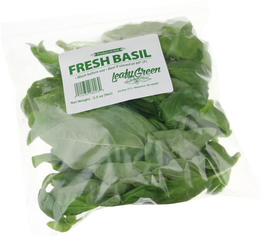 Leafy Green Fresh Basil - Spinach (600x541), Png Download