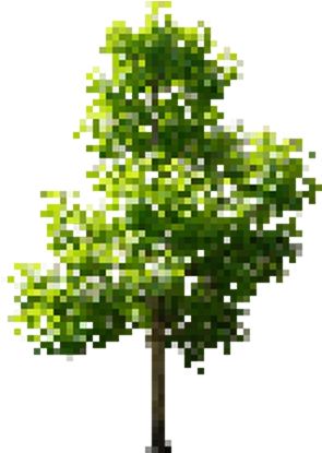 The Problem Is That My Result Always Looks Like This - Tree Pixel Art Png (300x426), Png Download