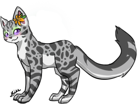 Misselle - Drawings Of Cool Cats (547x379), Png Download