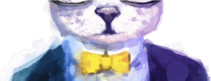 Layerslider 03 Cat - Love Animals 5'x7'area Rug (736x267), Png Download