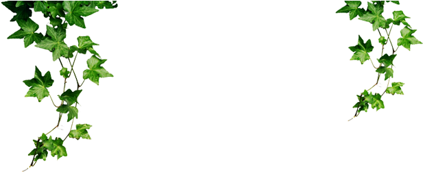 Zoom Jungle Plants Png - Ivy (636x250), Png Download