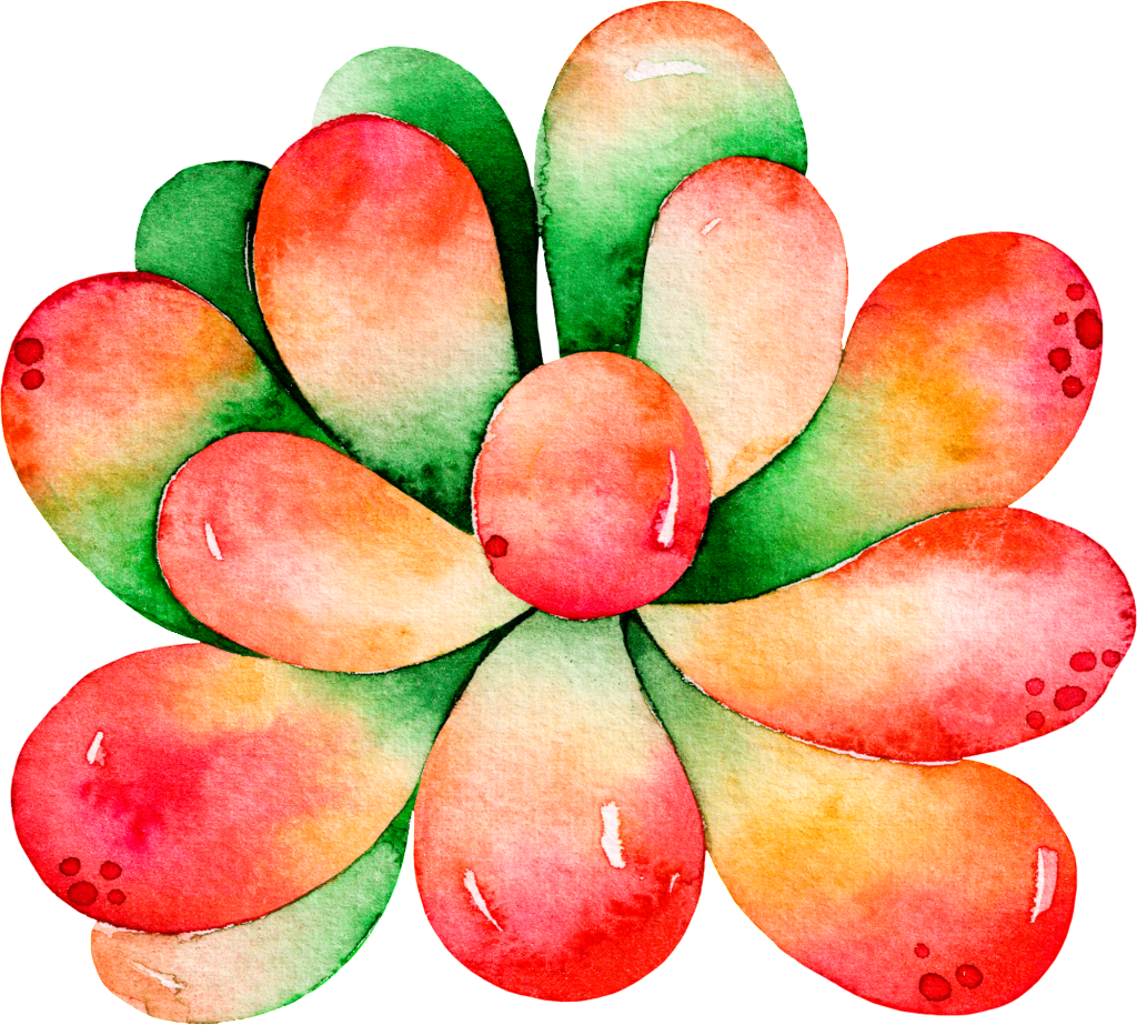 Delicate Succulent Cartoon Transparent - Portable Network Graphics (1024x923), Png Download