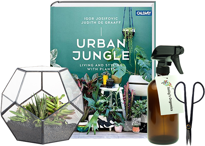 Previous - Urban Jungle: Living And Styling With Plants (750x520), Png Download