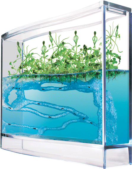 If You Were Into Science At All When You Were A Kid - Gel Ant Farm (586x600), Png Download