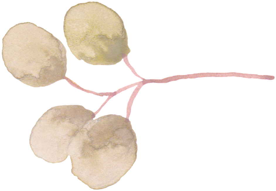 Light Green Round Leaf Cartoon Transparent - Cartoon (1024x772), Png Download