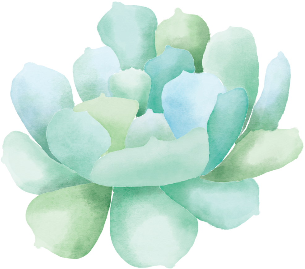 Watercolor Succulent Clip Art7 - Watercolor Painting (1000x878), Png Download