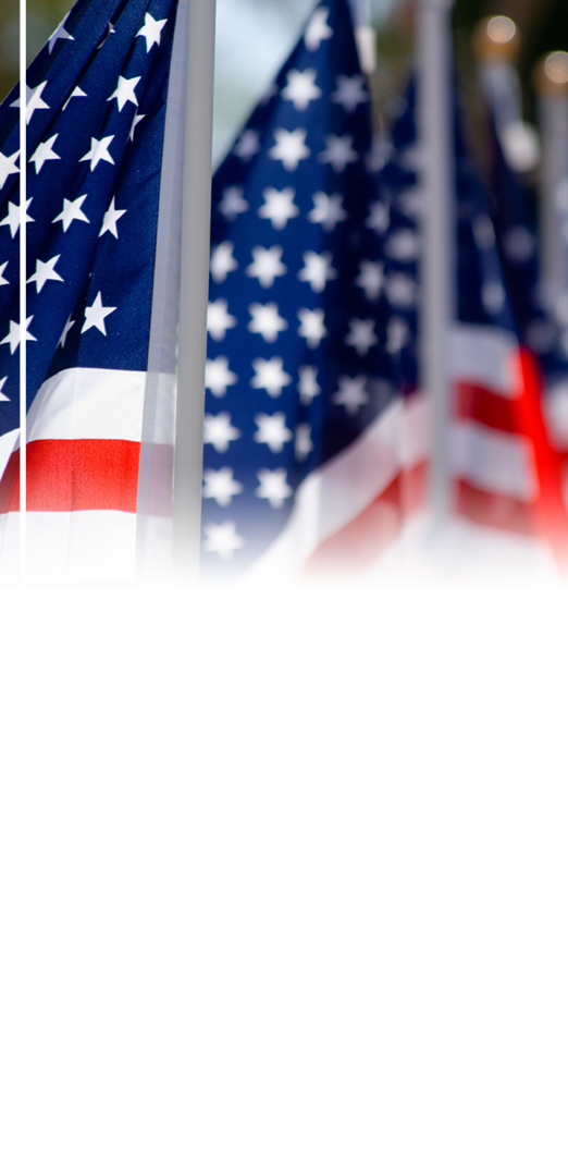 Flag Of The United States (522x1077), Png Download
