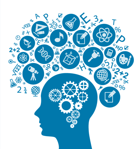 Brain Gears Icon - What's Your Problem? By Stuart Connor (569x611), Png Download