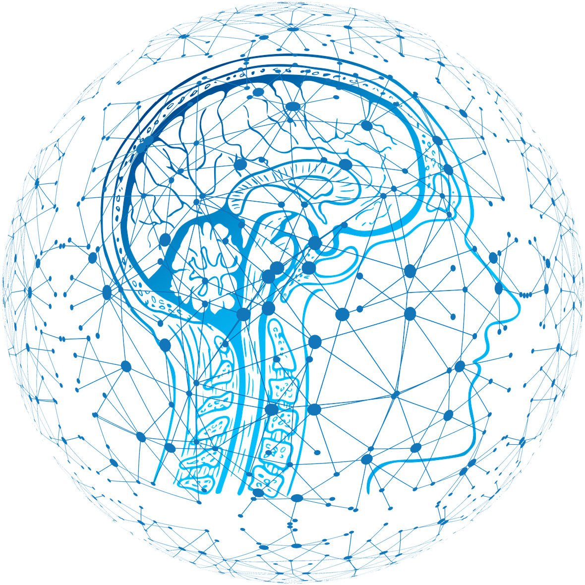 Device Allows Three Brains To Connect, Share Thoughts - Effects Of Water On Human Brains: R Risk Of Developing (1920x1280), Png Download