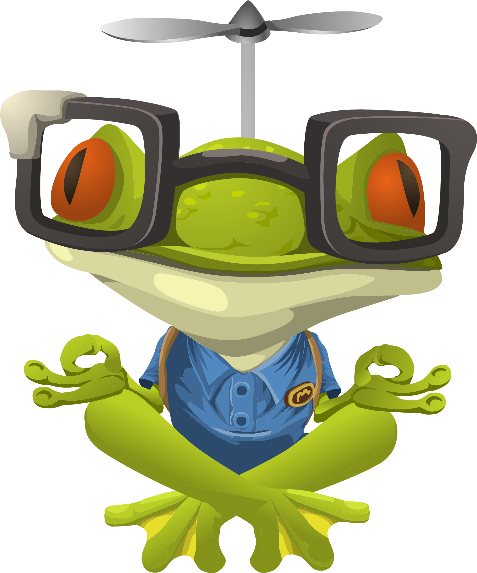 How We're Tackling Web Development's Nagging - Meditating Frog (1958x2400), Png Download