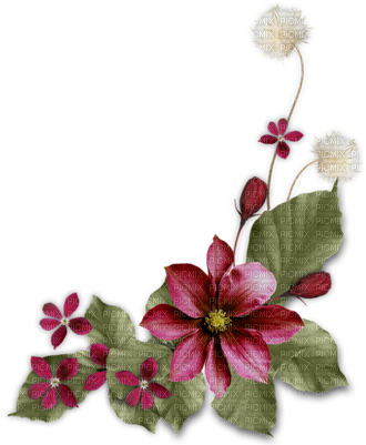 Dark Flowers Png - Krásny Víkend (400x400), Png Download