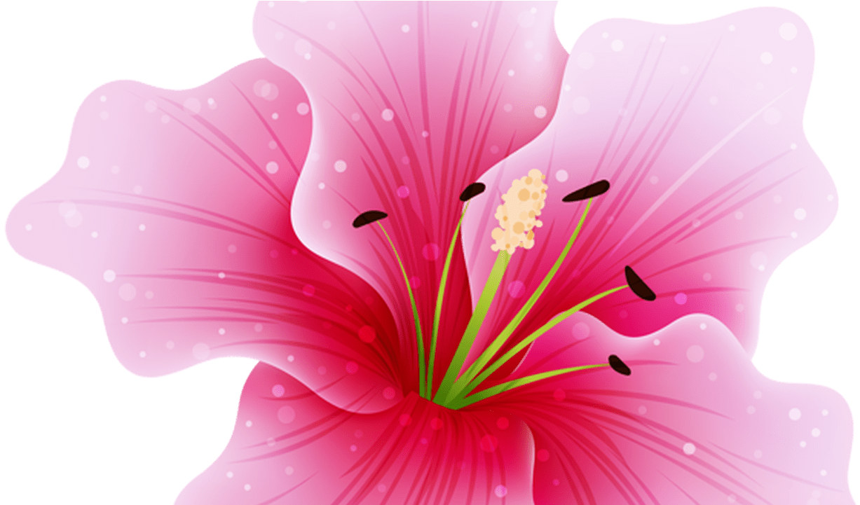 Pink Hawaii Flower Png (1280x720), Png Download