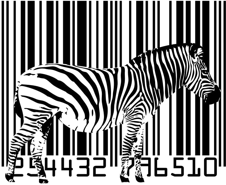 Tener En Cuenta El Tamaño Para No Perder Nuestro Código - Zebra Poster (778x636), Png Download