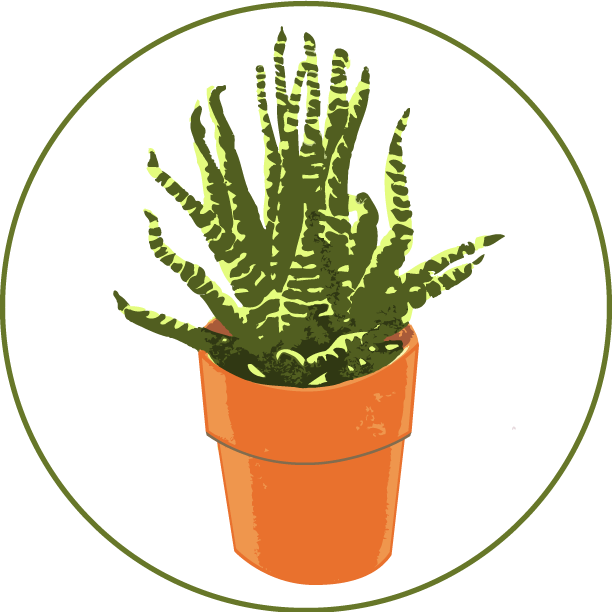 Cactus Web Export - Blog (612x612), Png Download