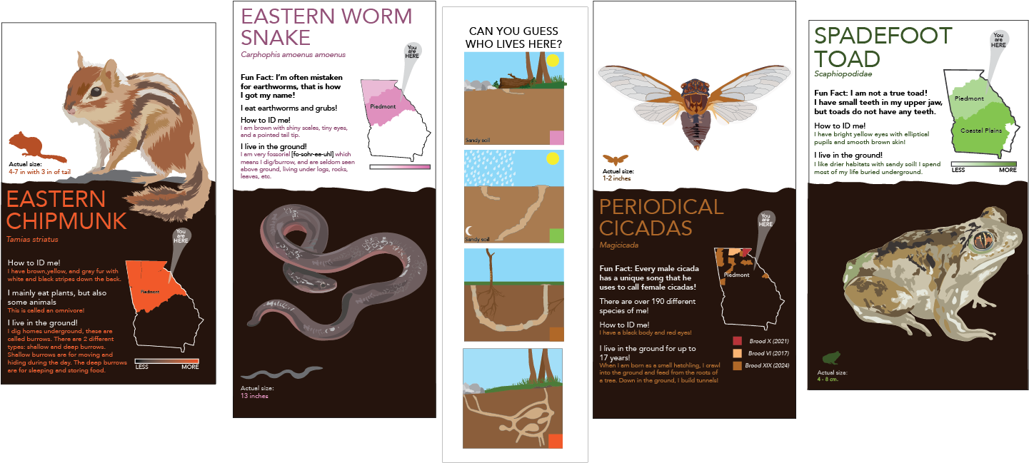 This Project Includes - Flyer (1501x1129), Png Download