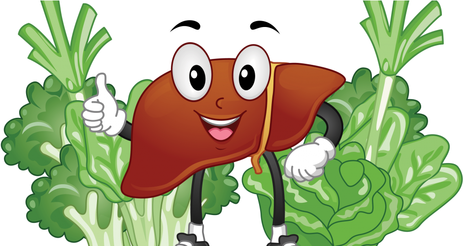 Seven Liver Healthy Foods - Liver (960x500), Png Download