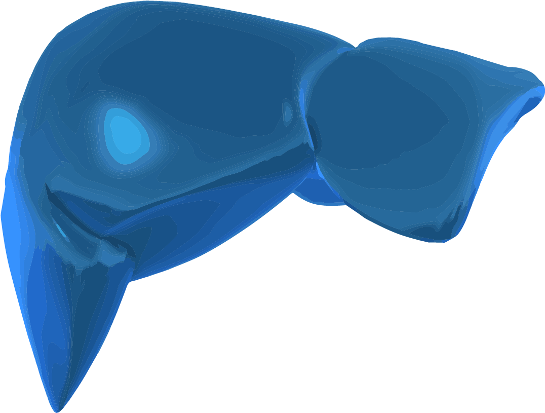 A 3d Graphic Image Of The Liver - Satin (1921x1201), Png Download