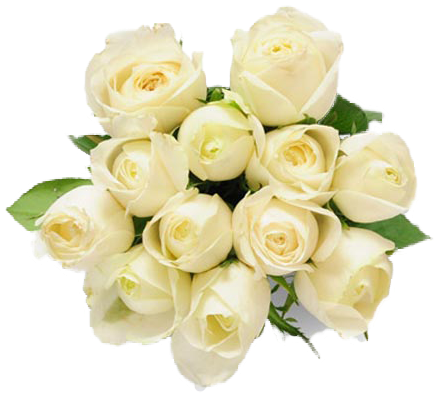 Bunch Of 12 White Roses - Flowers Rose (450x450), Png Download