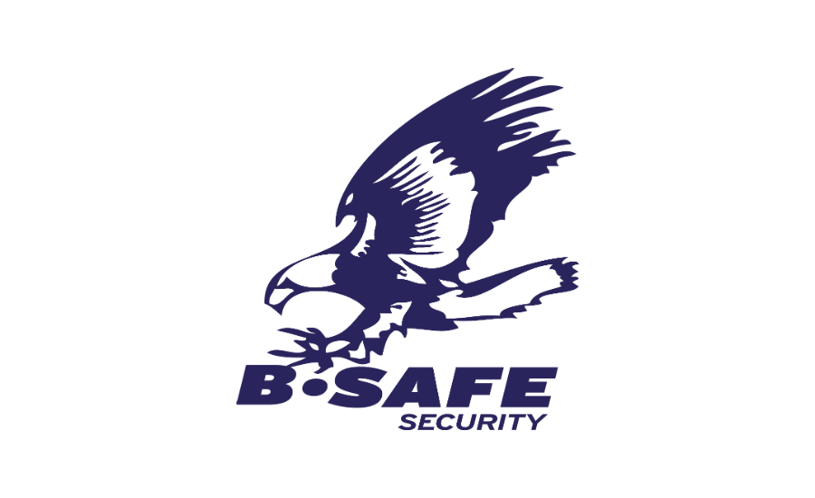 B Safe Marks 4th Acquisition Of 2018 Dcd Fire & Security - Red-tailed Hawk (900x550), Png Download