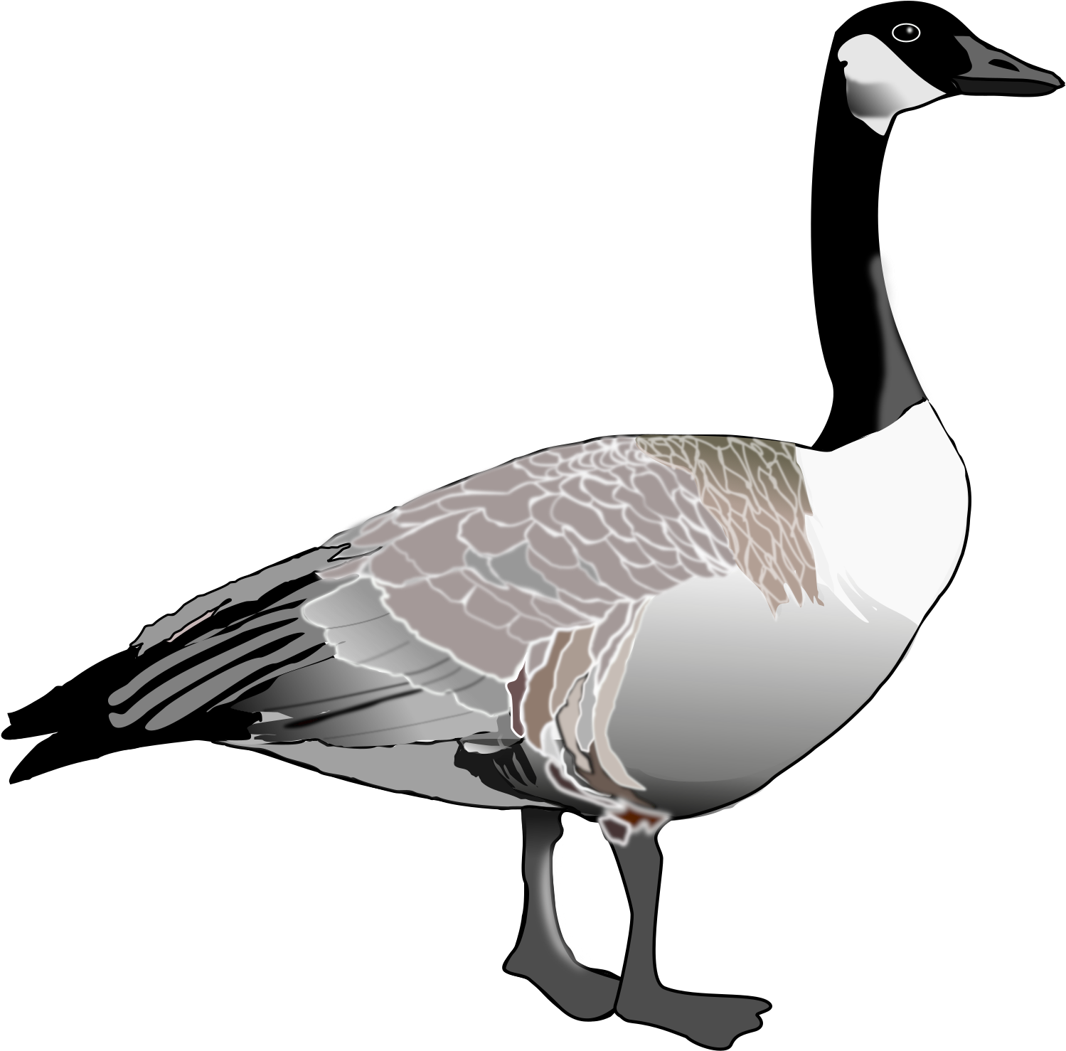 Goose Png Graphic Freeuse Stock - Canadian Goose Clipart (2400x1800), Png Download