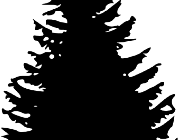 Drawn Pine Tree Svg - Pine Tree Silhouette (640x480), Png Download