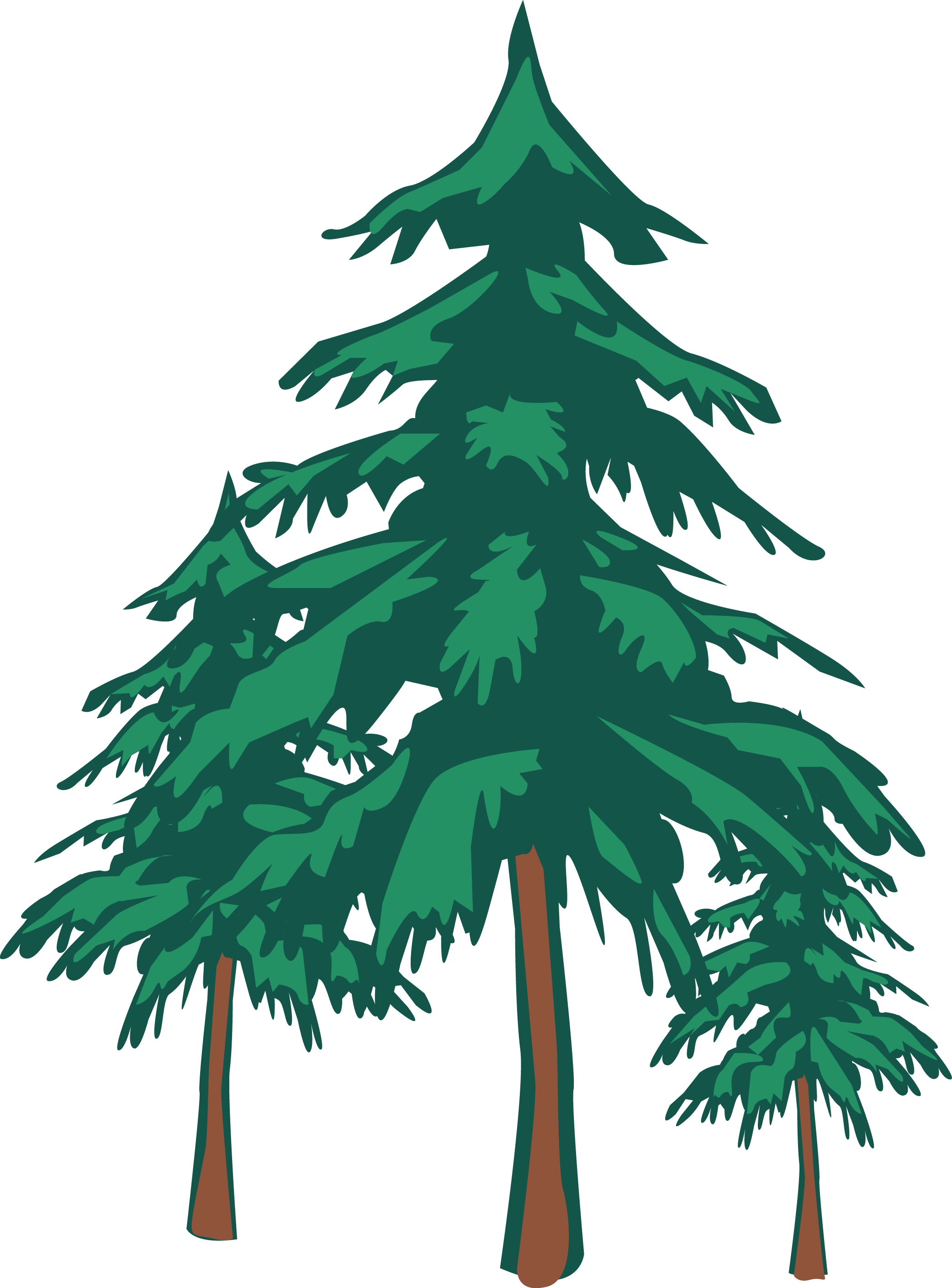 Tall Pine Tree Silhouette Trees Pinterest - Diagram Of Cycles Of Matter (2084x2819), Png Download