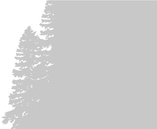 Winter Outings And Where To Warm-up Afterwards - Christmas Tree (1400x500), Png Download