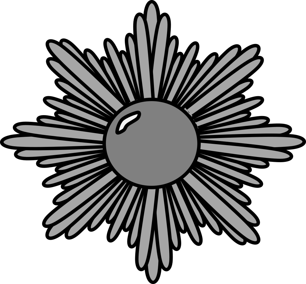 Silver Decorative Starburst - North Yorkshire Police Badge (1000x930), Png Download