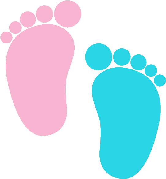 Baby Feet Png - Gender Reveal Clip Art (729x730), Png Download