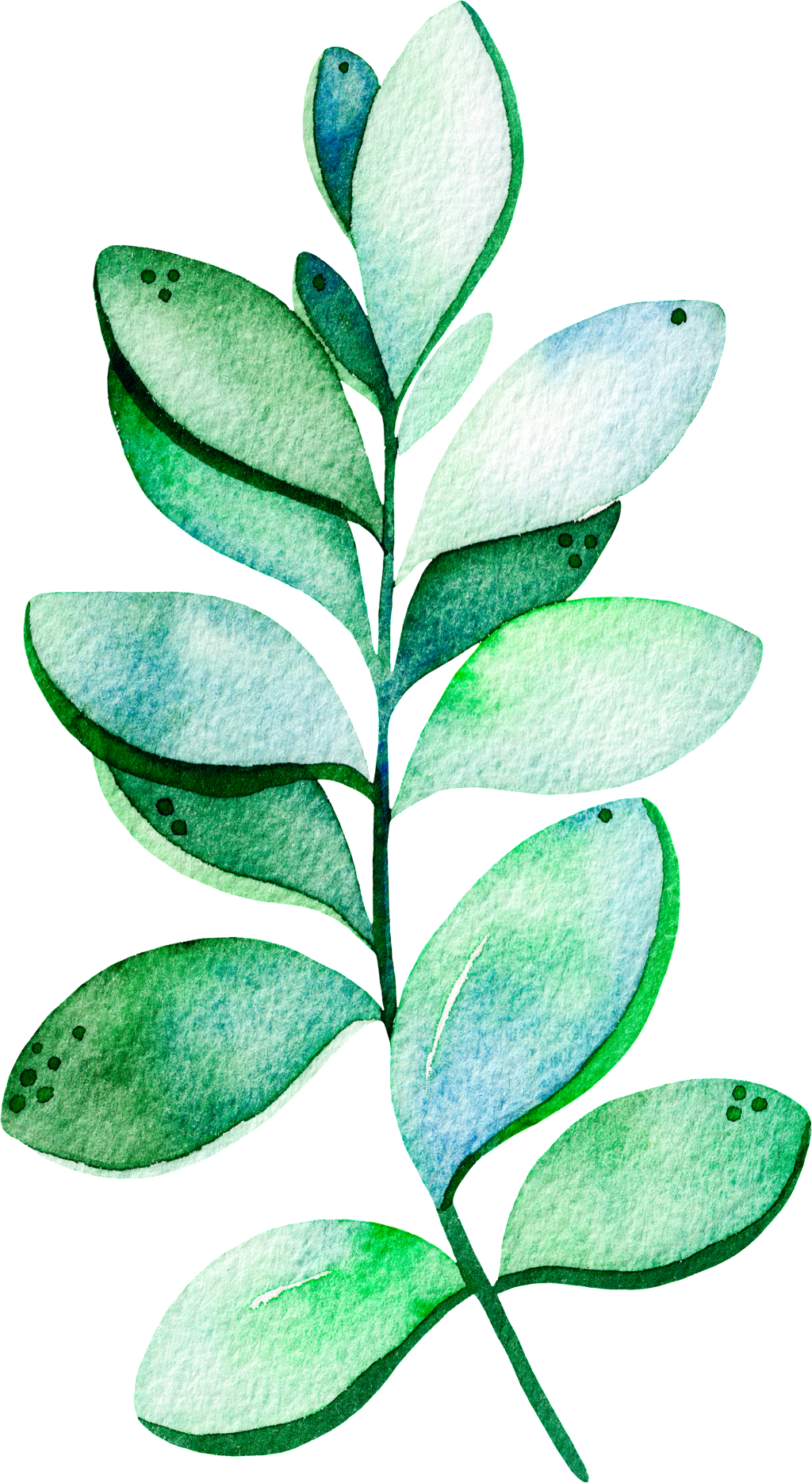 Heypik Transparent Green Plants 27729724 X Oss Process=image/quality,q - Drop (1024x1869), Png Download