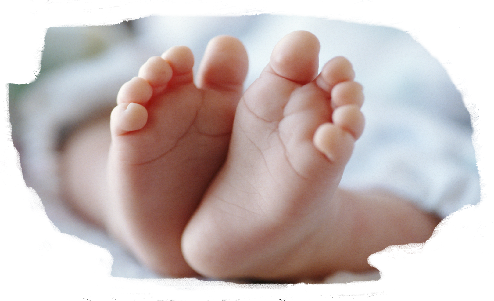 Baby Feet - Irish Pregnancy Book: A Guide For Expectant Mothers (1620x986), Png Download