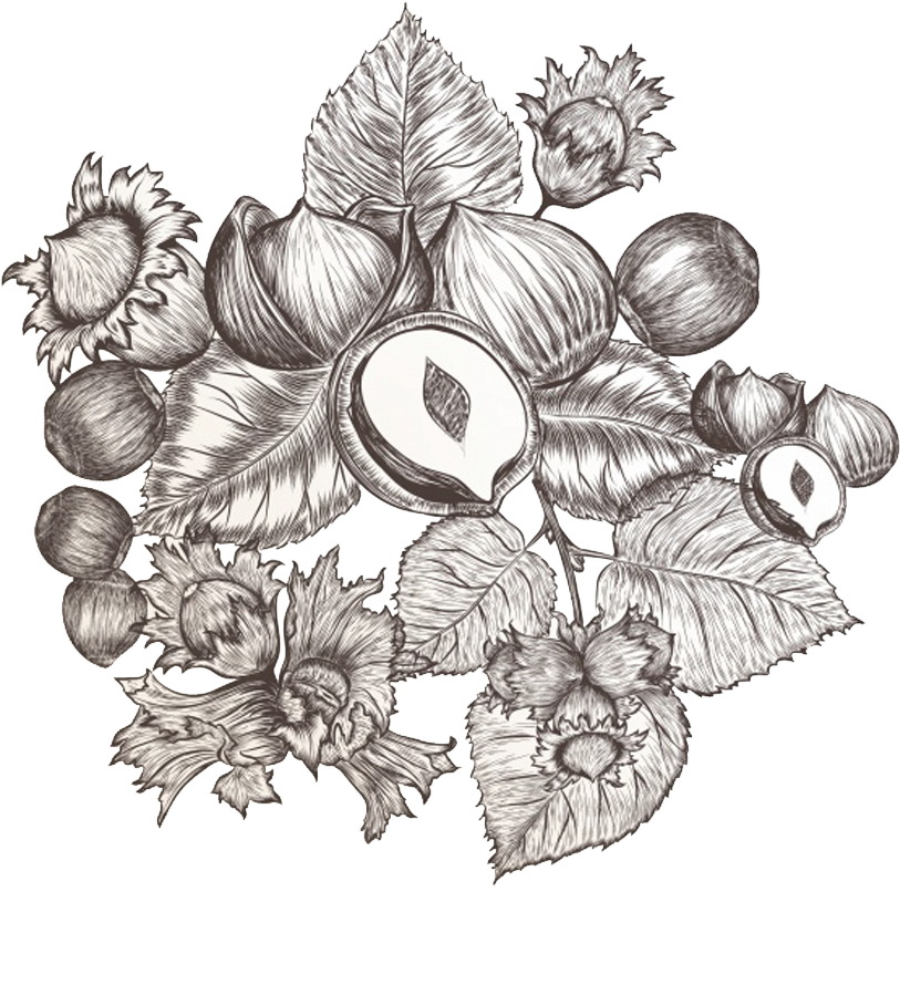 Graphic Library Library The Shoppe Shop All Products - Nut (833x1029), Png Download