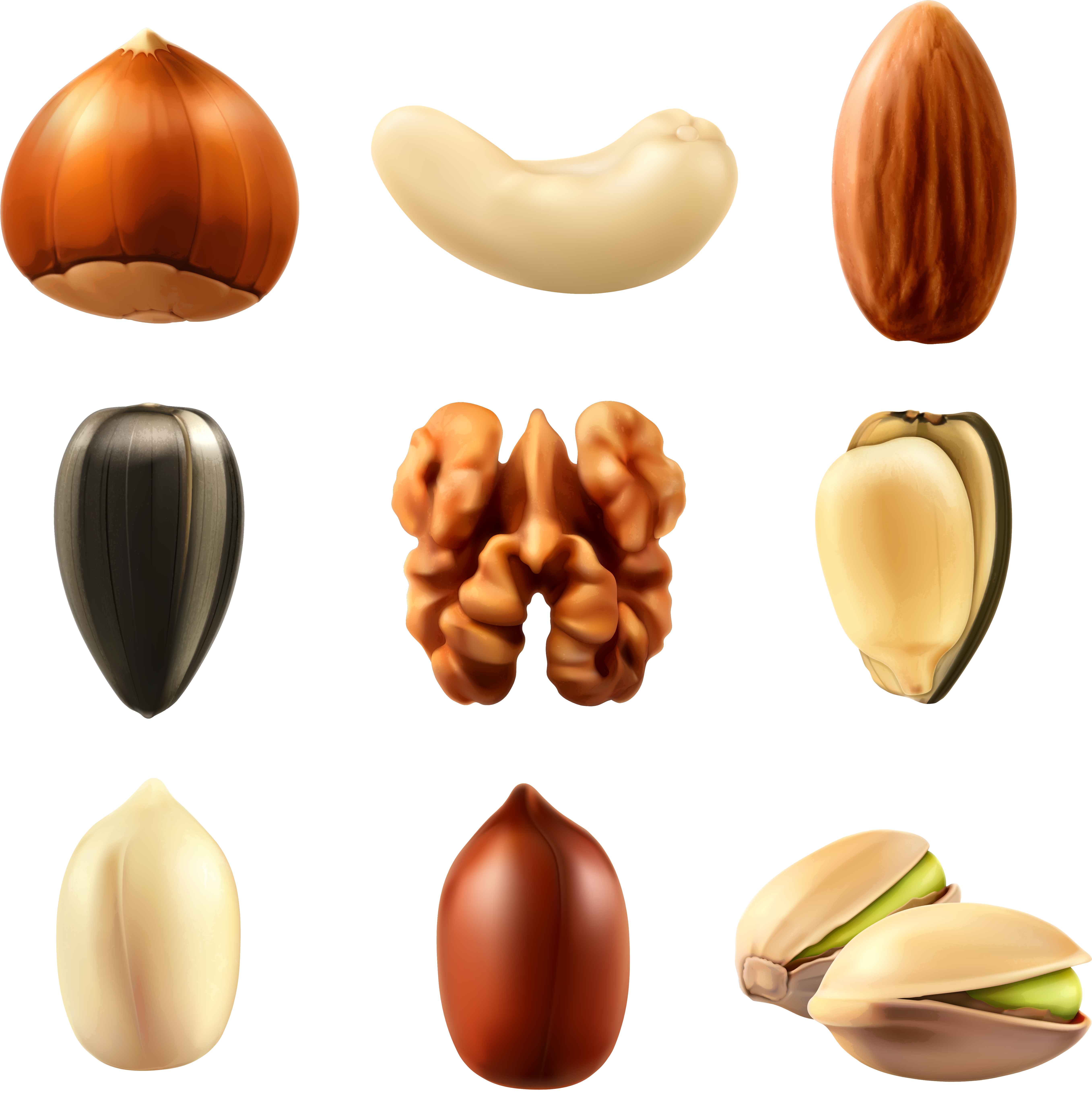 Dry Fruits Vector Png (5762x5899), Png Download