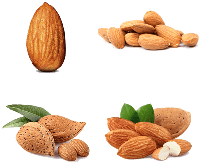 Almond - Z Natural Foods Almonds - Raw Organic 2 Lbs (400x400), Png Download