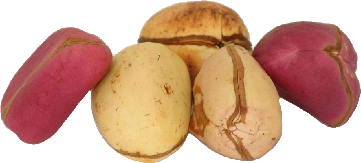 Kola Nuts Png - Kola Nut Png (1400x925), Png Download