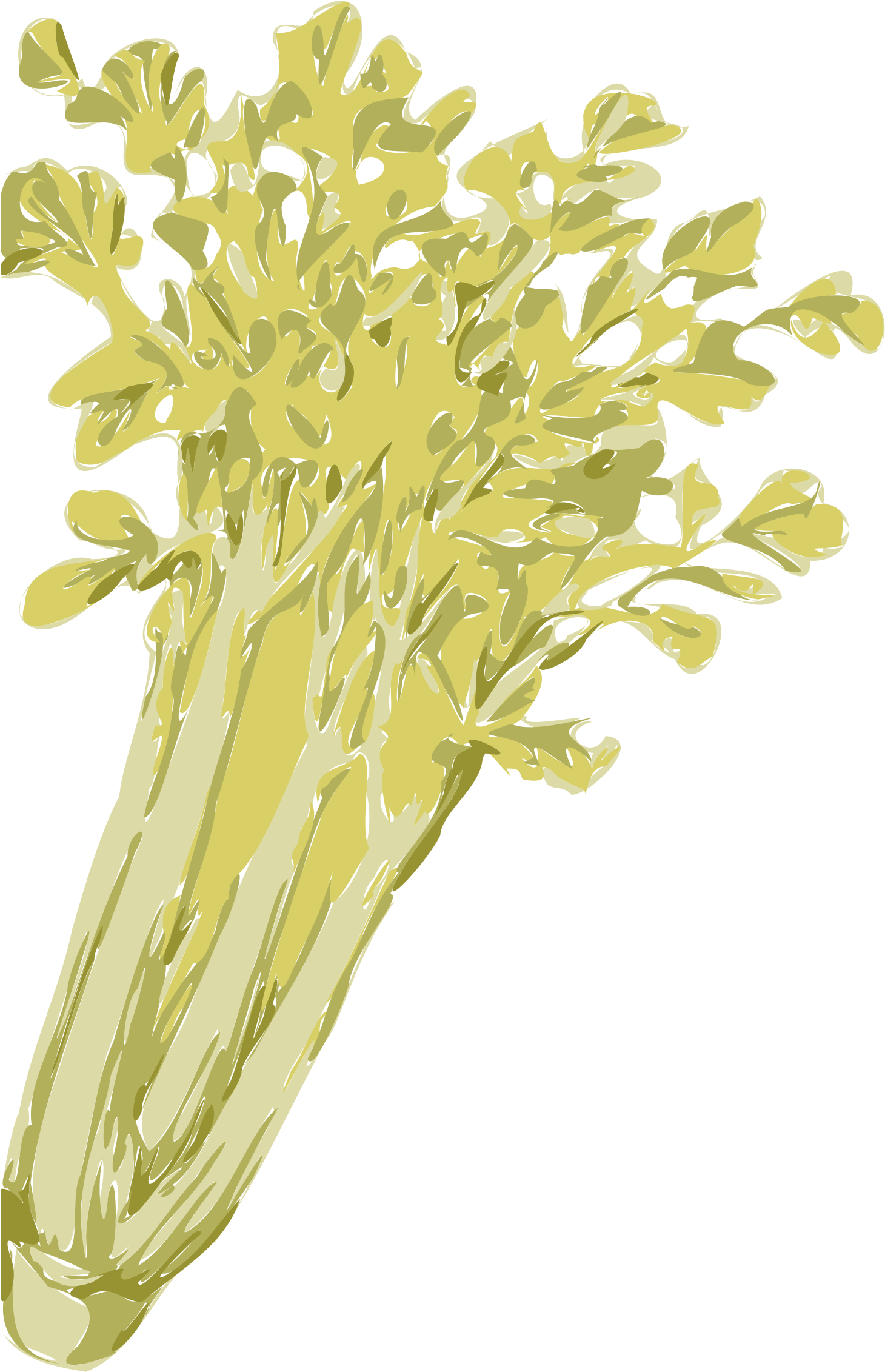Celery Png (1510x2400), Png Download
