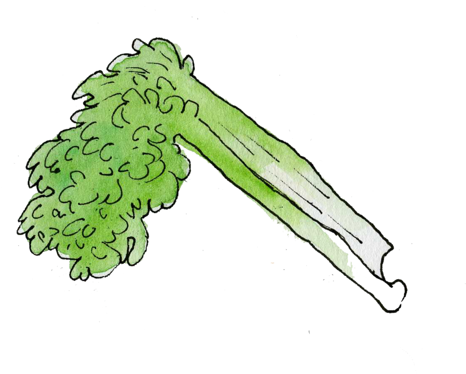 Painted In A Playful Style These Cute Yet Elegant Watercolour (1000x782), Png Download