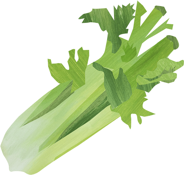 Celery Transparent Nepali Png Free Stock - Chicory (1200x630), Png Download