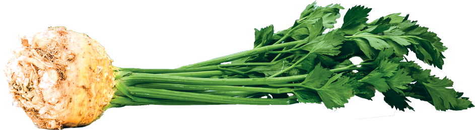 Celery Root - Water Spinach (943x258), Png Download