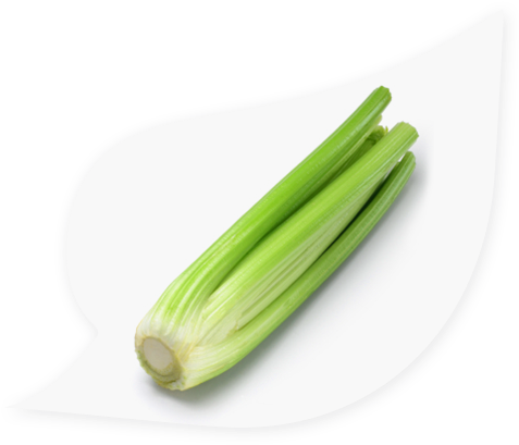 Scallion (491x416), Png Download