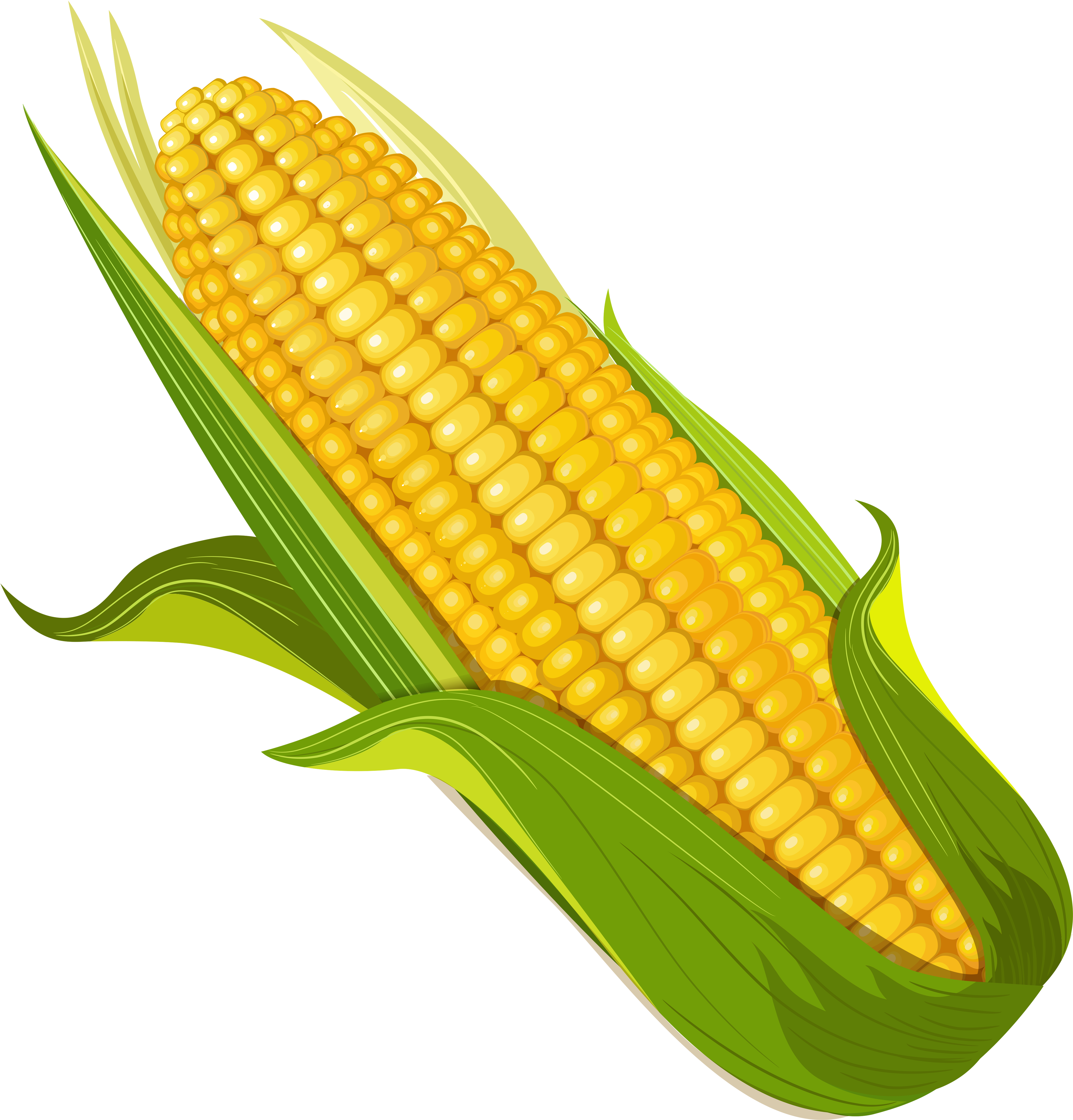 0 D9f87 59264cb8 Orig - Elote Dibujo Png (4664x5000), Png Download