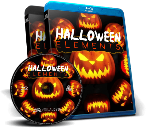 Jack O'lanterns, Bats, Spiders, Spooky Forests & Zombie - Jack-o'-lantern (530x480), Png Download