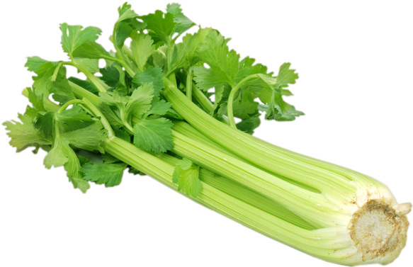 Celery - Green Vegetables (600x600), Png Download