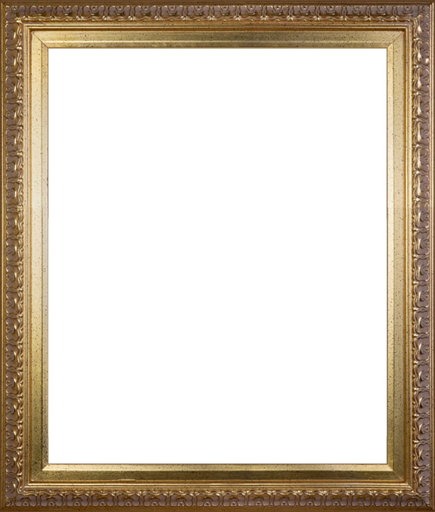 Elegant Photo Frame Png
