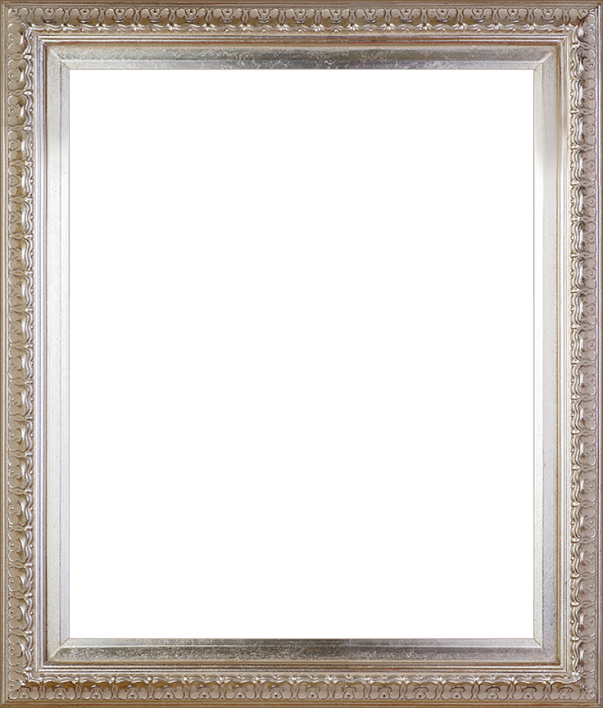 Elegant Champagne Frame - Elegant Champagne Frame 20"x24" Museum Frame (852x1000), Png Download